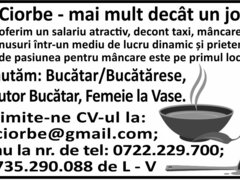 6 Ciorbe angajeaza ajutor bucatar!